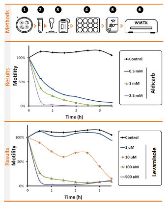 EFFECTS OF ALDICARB AND LEVAMISOLE IN C.ELEGANS