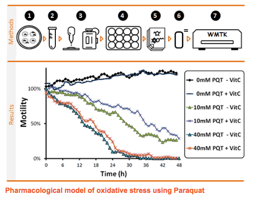 OXIDATIVE STRESS IN C.ELEGANS